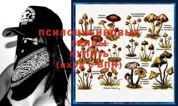 МДМА Богородицк