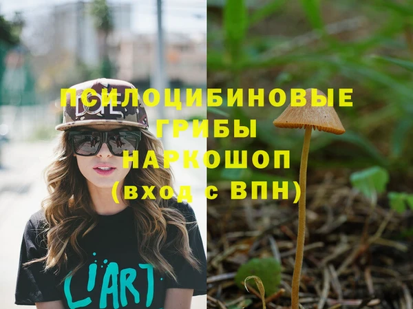 не бодяженный Богданович