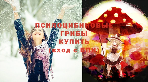 не бодяженный Богданович